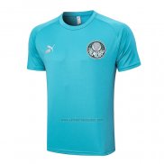 Camiseta de Entrenamiento Palmeiras 2023-2024 Verde