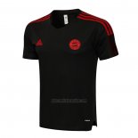 Camiseta de Entrenamiento Bayern Munich 2021-2022 Gris
