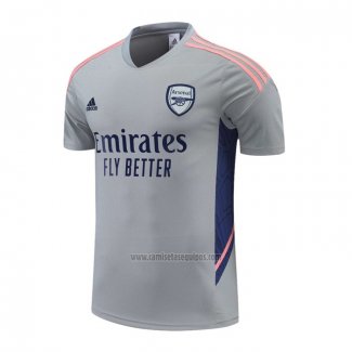 Camiseta de Entrenamiento Arsenal 2022-2023 Gris