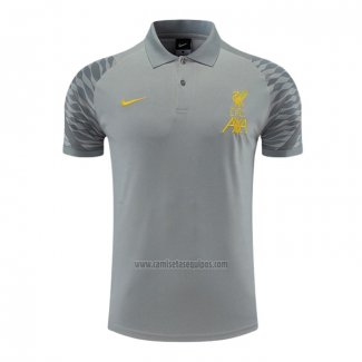 Camiseta Polo del Liverpool 2022-2023 Gris